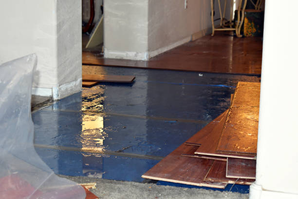 Professional Basement Flood Cleanup technician working in Lafferty, OH